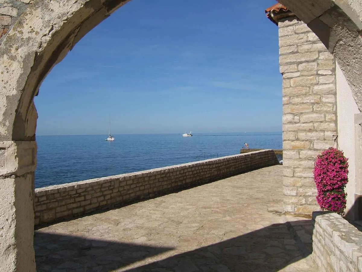 Apartment In Novigrad/Istrien 9669 Novigrad   Novigrad (Istria)